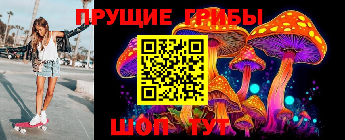 Псилоцибиновые грибы GOLDEN TEACHER  Галлюциногенные грибы Psilocybine cubensis  Вход с VPN  Коломна 